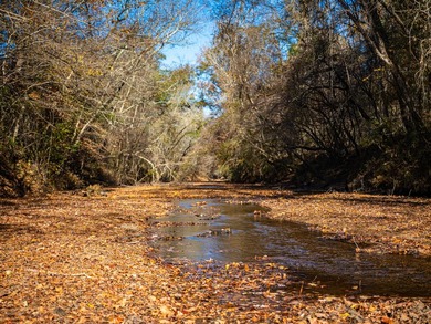 Located just minutes from historic Macon, Georgia, Buckelew Farm - photo 22