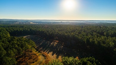 Located just minutes from historic Macon, Georgia, Buckelew Farm - photo 24