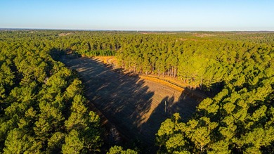 Located just minutes from historic Macon, Georgia, Buckelew Farm - photo 25