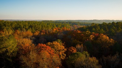 Located just minutes from historic Macon, Georgia, Buckelew Farm - photo 26