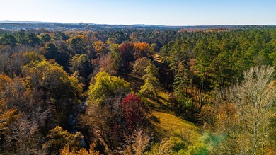 Located just minutes from historic Macon, Georgia, Buckelew Farm - photo 29