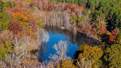 Located just minutes from historic Macon, Georgia, Buckelew Farm - photo 30