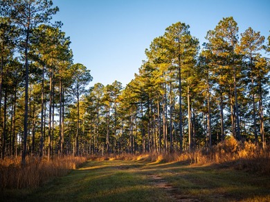 Located just minutes from historic Macon, Georgia, Buckelew Farm - photo 31