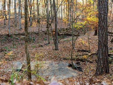 Located just minutes from historic Macon, Georgia, Buckelew Farm - photo 32