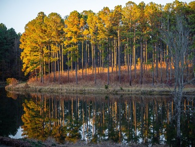 Located just minutes from historic Macon, Georgia, Buckelew Farm - photo 36