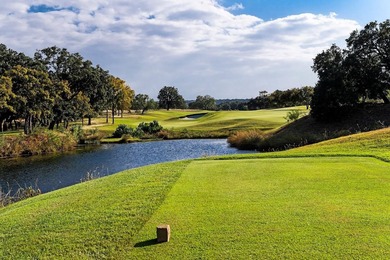 Explore a unique chance to own a piece of the Texas Hill Country - photo 7