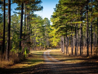 Located just minutes from historic Macon, Georgia, Buckelew Farm - photo 37