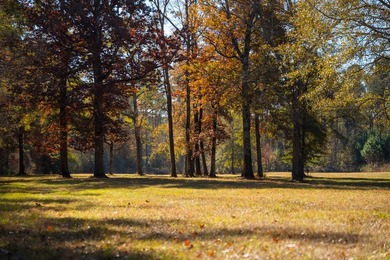 Located just minutes from historic Macon, Georgia, Buckelew Farm - photo 38