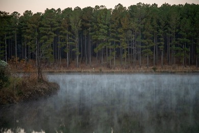 Located just minutes from historic Macon, Georgia, Buckelew Farm - photo 40