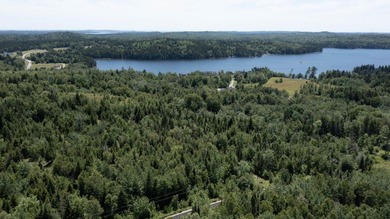 Enjoy all seasons with unlimited lake access via the large - photo 11