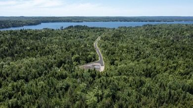 Enjoy all seasons with unlimited lake access via the large - photo 16