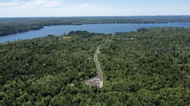 Enjoy all seasons with unlimited lake access via the large - photo 17