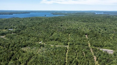 Enjoy all seasons with unlimited lake access via the large - photo 20