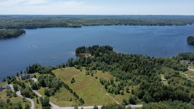 Enjoy all seasons with unlimited lake access via the large - photo 22