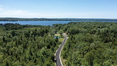 Enjoy all seasons with unlimited lake access via the large - photo 29