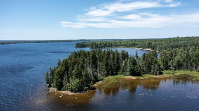 Enjoy all seasons with unlimited lake access via the large - photo 32