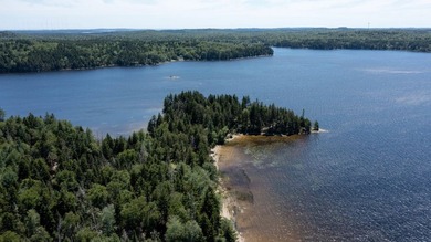 Enjoy all seasons with unlimited lake access via the large - photo 41