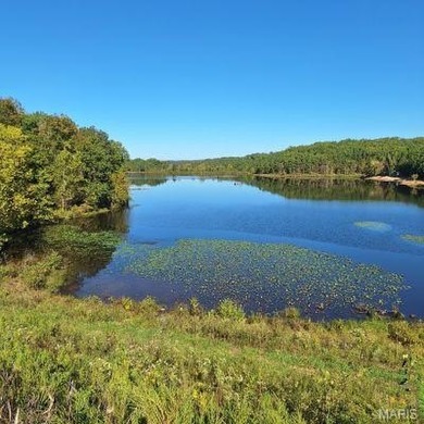 (private lake, pond, creek) Acreage For Sale in Lowndes Missouri