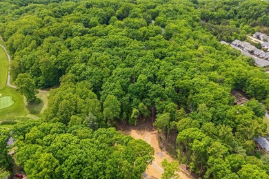 Build your dream home on this rare 1.6+ acre, golf-front lot - photo 12
