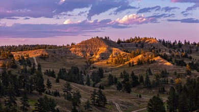 The Steiner Ranch is a premier 5,582+/- acre legacy holding near - photo 4