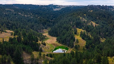 The Steiner Ranch is a premier 5,582+/- acre legacy holding near - photo 6