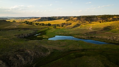 The Steiner Ranch is a premier 5,582+/- acre legacy holding near - photo 7