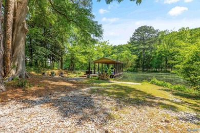 Welcome to your lake getaway with endless possibilities! Whether - photo 43