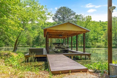 Welcome to your lake getaway with endless possibilities! Whether - photo 44