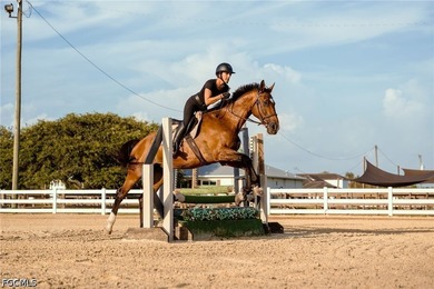 YOUR SWFL HORSE PROPERTY AWAITS! Exceptionally maintained - photo 48