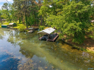Welcome to your lake getaway with endless possibilities! Whether - photo 48