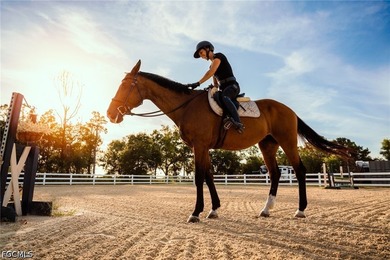 YOUR SWFL HORSE PROPERTY AWAITS! Exceptionally maintained - photo 49