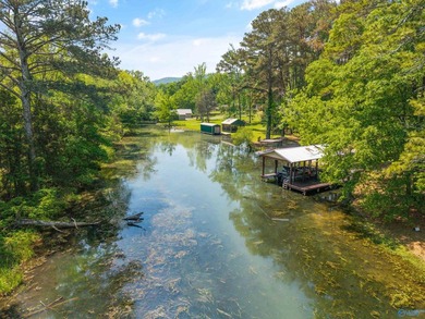 Welcome to your lake getaway with endless possibilities! Whether - photo 49