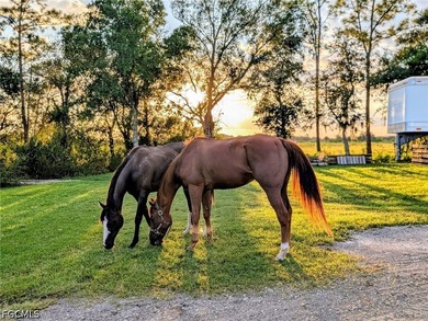 YOUR SWFL HORSE PROPERTY AWAITS! Exceptionally maintained - photo 50