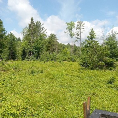 (private lake, pond, coastal) Acreage For Sale in Dolgeville New York