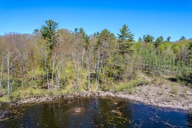 An exceptional opportunity on Little Bearskin Lake- 1.55 acres - photo 11