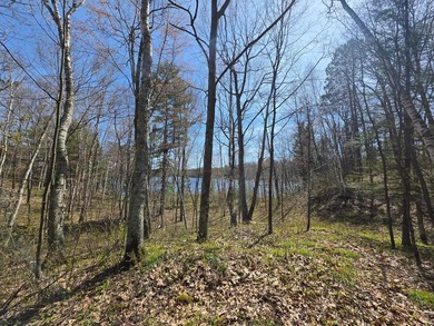 An exceptional opportunity on Little Bearskin Lake- 1.55 acres - photo 14