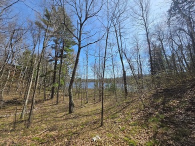 An exceptional opportunity on Little Bearskin Lake- 1.55 acres - photo 15