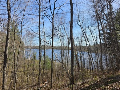 An exceptional opportunity on Little Bearskin Lake- 1.55 acres - photo 16