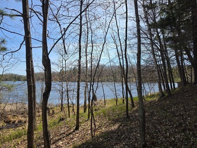 An exceptional opportunity on Little Bearskin Lake- 1.55 acres - photo 17
