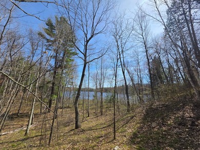 An exceptional opportunity on Little Bearskin Lake- 1.55 acres - photo 19