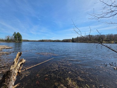 An exceptional opportunity on Little Bearskin Lake- 1.55 acres - photo 20