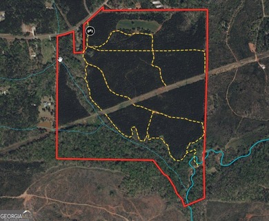 (private lake, pond, creek) Acreage For Sale in Hamilton Georgia