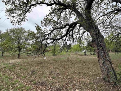 Lake Lot For Sale in Cottonwood Shores, Texas