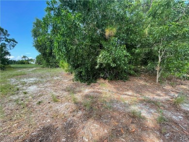 Welcome to Cape Coral FL! Discover the perfect canvas for your - photo 11