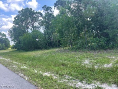 Welcome to Cape Coral FL! Discover the perfect canvas for your - photo 13