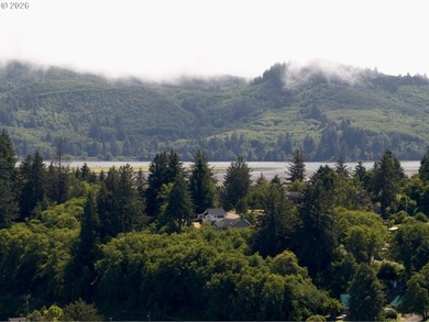 Perched above charming downtown Nehalem, this remodeled coastal - photo 24