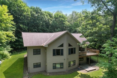 Lake Home For Sale in Apple River Twp, Wisconsin