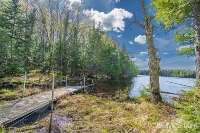 Gaylord Lake Acreage For Sale in Marenisco Michigan