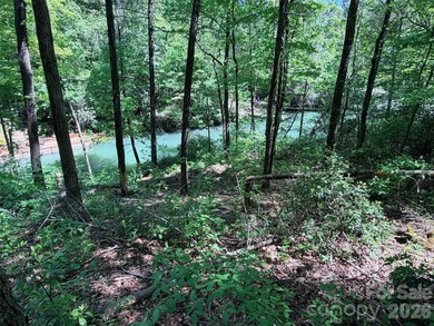 LAKE LURE'S BEST BUY! LAKEFRONT LOT.......3.64 acre lakefront - photo 2