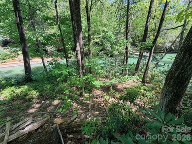 LAKE LURE'S BEST BUY! LAKEFRONT LOT.......3.64 acre lakefront - photo 3